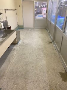 病院厨房全室/塗床改修工事-群馬県