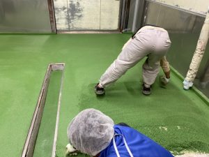 食肉工場/水系硬質ウレタン塗床工事-茨城県