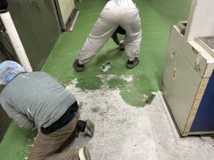 食肉工場/水系硬質ウレタン塗床工事-茨城県