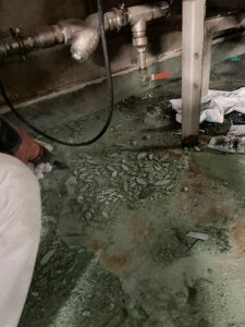 食品工場/水系硬質ウレタンモルタル工法-群馬県