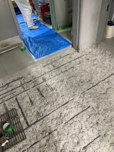 食品工場/水系硬質ウレタンペースト工法、コンプリートCPS工法-群馬県